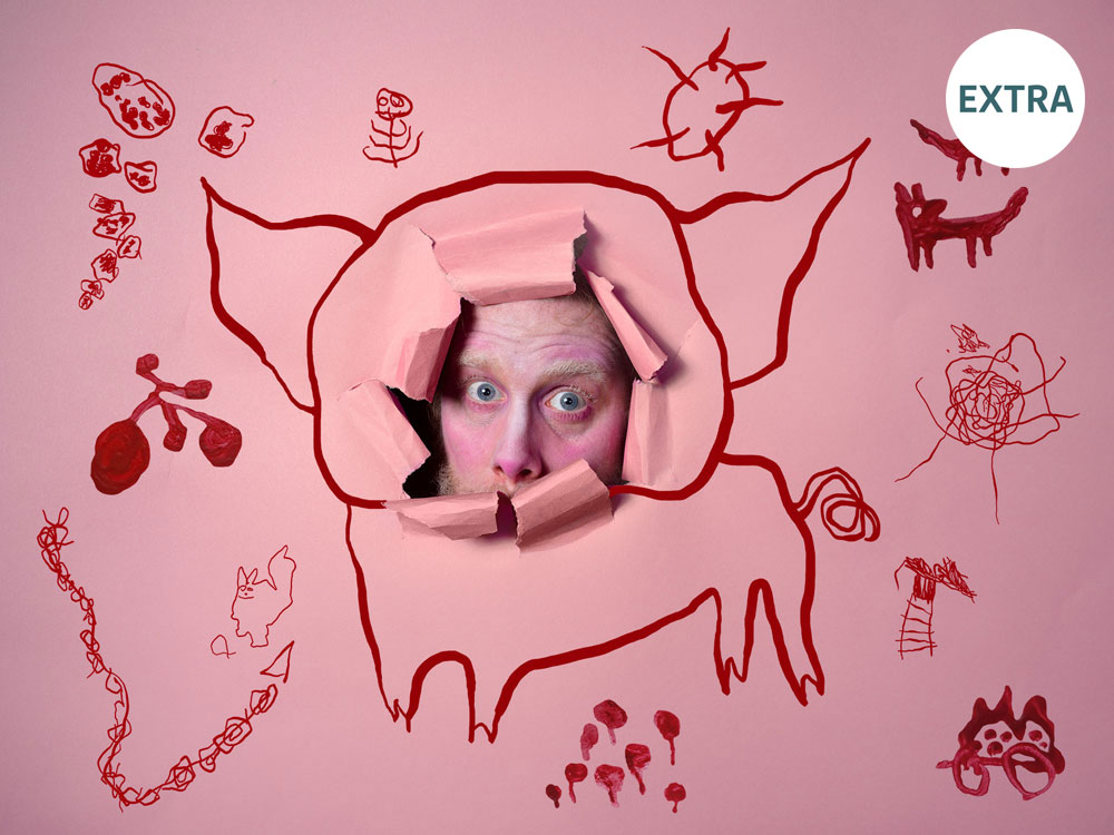 3-Det-ar-en-gris-pa-foris-no2